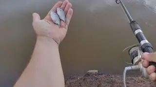 Fui pescar traíra com a melhor isca e o imprevisto aconteceu #PESCARIA
