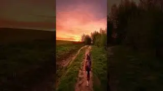 #metal #music #metallica #nature #sunset #sundown #spring #sky #naturelovers #relax #relaxing
