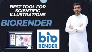 How to Use BioRender Software | Best Scientific Tool for Scientific Illustrations