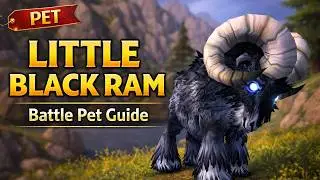 How to Get the Little Black Ram (Time-gated Pet) &mdash; WoW Guide