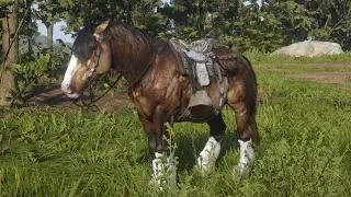My Personal Thoughts on The Red Dead Online community!