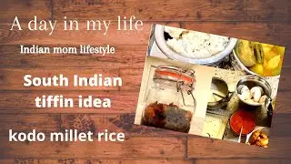 A day in my life | Varagu / Kodo Millet Rice Recipe | South Indian Tiffin Idea | Tamil DMIL Vlog