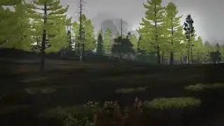 40 тел