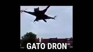 Jeje Emialv subio video porfin xDDD