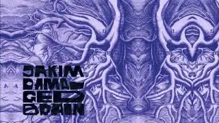 Jakim - Damaged Brain (2015)