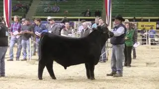 NWSS 2016: ROV Angus Bull Show