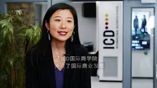 Msc / MBA programs, international relations and accreditations at ICD  International Business School