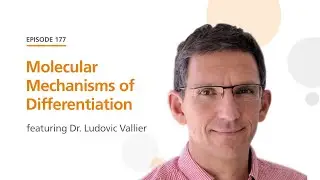 Molecular Mechanisms of Differentiation featuring Dr. Ludovic Vallier | The Stem Cell Podcast