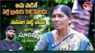 మనసును కదిలించే పల్లె పాటలు పాడిన పులిగిల్ల జానపద గాయని సూరమ్మ | Valayam TV