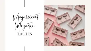 Magnificent Magnetic Lashes