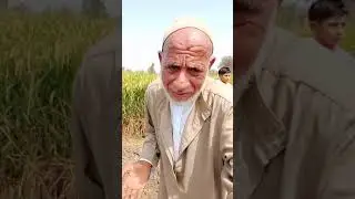 دى حالنا يارب