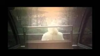 The Megaphonic Thrift - Moonstruck