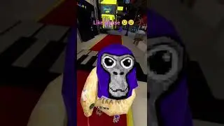 #gorilla #gorillatag #gorillatagquest