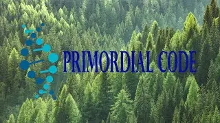Primordial Code Book Trailer