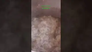 Hemp Fiber Processing #hemp #hempfibercooking #cooking #fiber #naturalfiber #paper #papermaking