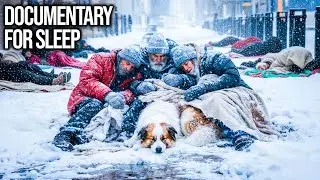 How Homeless People Sleep Through Subzero Winters on American City Streets | Documentary For Sleep