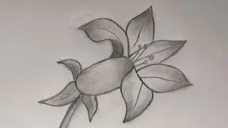 Morning glory, Sunflower, lily and Lotus Drawing || Easy Flower sketch and Coloring Tutorial ||