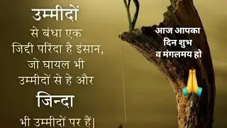 उम्मीदोंसे बंधा एक जिद्दी परिंदा है #love #shortvideo Radha Krishna