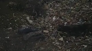 4 dead, 2 injured after Michigan house explosion