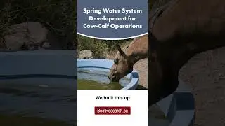 Spring water system development for cow-calf operations