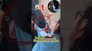 ⚠️ Tourist Bitten by King&rsquo;s Guard Horse at Horse Guards Parade! 😱🐎