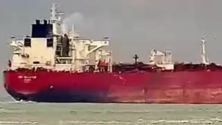 🔴 LIVE CAM : MYSTERIOUS THINGS CAUGHT IN CAMERA | SHIP IN WELLINGTON LIVE CAMERA STREAMING
