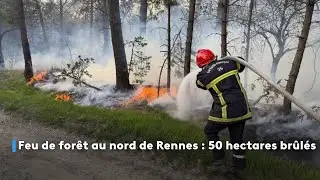 Feu de forêt au nord de Rennes : 50 hectares brûlés