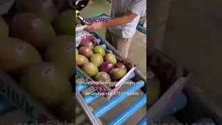 Handheld Fruit and Vegetable Labeling Machine
