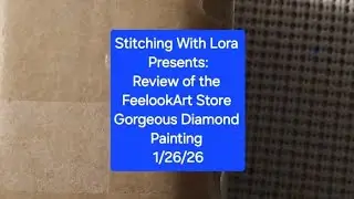 Review of the FeelookArt Store  Gorgeous Diamond Painting 1/26/26