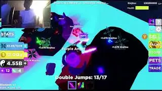 NINJA LEGENDS!! (Reached Sandstorm Island)