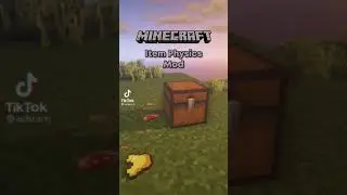 Minecraft Item Physics Mod!