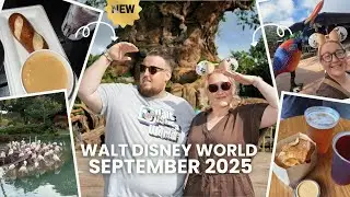 Disney Day 5 ! The ULTIMATE Disney Park Hop! AK ➡️ Hollywood ➡️ Epcot 💫 Did I Conquer Everest