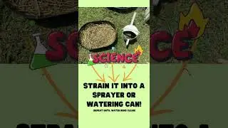 How to Make Compost Tea with Rabbit Manure