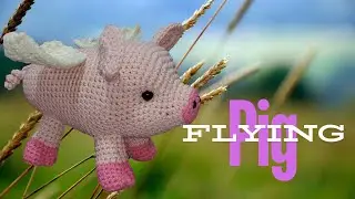 Flying Pig