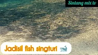 Jadisil fish singturi 🐋🐋