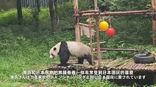 Explore Guizhou with Local Guides: Discover the Serenity of Qianling Mountain Park