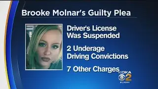 Crash Survivor Pleads Guilty In Separate DUI Case