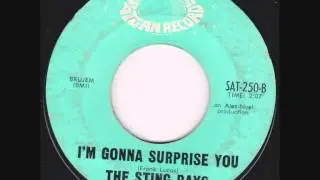 The Sting Rays - I'm Gonna Surprise You