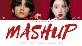 VSOO - MASHUP ( Habits X Snow Flower X Yuki No Hana ) Color Coded Lyrics
