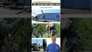 Бесплатная интерактивная образовательная программа для сотрудников шерифского управления округа Б...