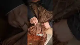 the rain cape