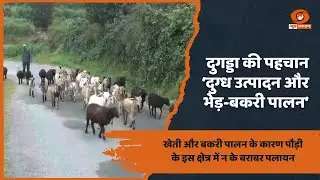 उत्तराखंड: दुगड्डा ब्लॉक का घाट क्षेत्र भेड़-बकरी पालन में बना आदर्श