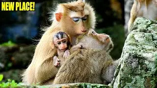 BREAKING NEWS! BB BRADY JUST WAKE UP AND CHECKING THE NEW PLACE FOR AMBER'S FAMILY.