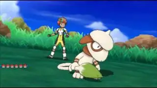 Helpful Hint for SOS Battles in Hail/Sand [NO MORE ATTACK MISSES!]