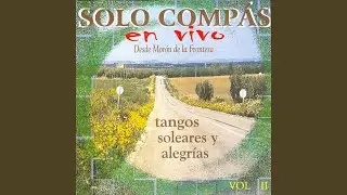 Tangos sin guitarra flamenca