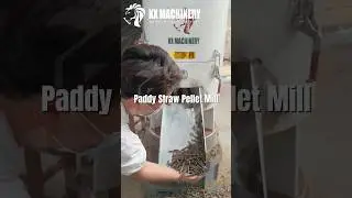 Paddy straw pellet machine biomass pellet mill for fiber straw stalk sawdust