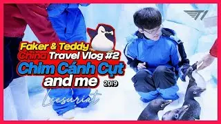 [VIETSUB] Faker v&agrave; Teddy bị chim c&aacute;nh cụt 