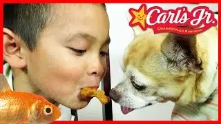 Feeding my DOG & Goldfish Carl&rsquo;s Jr. Chicken Stars, Kids Meal - TigerBox HD