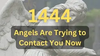 Angel Number 1444 Meaning: Your Life Will Change Forever!