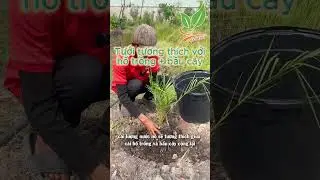 💦 Essential Watering Techniques for Newly Planted Trees Everyone Should Know! 🌱